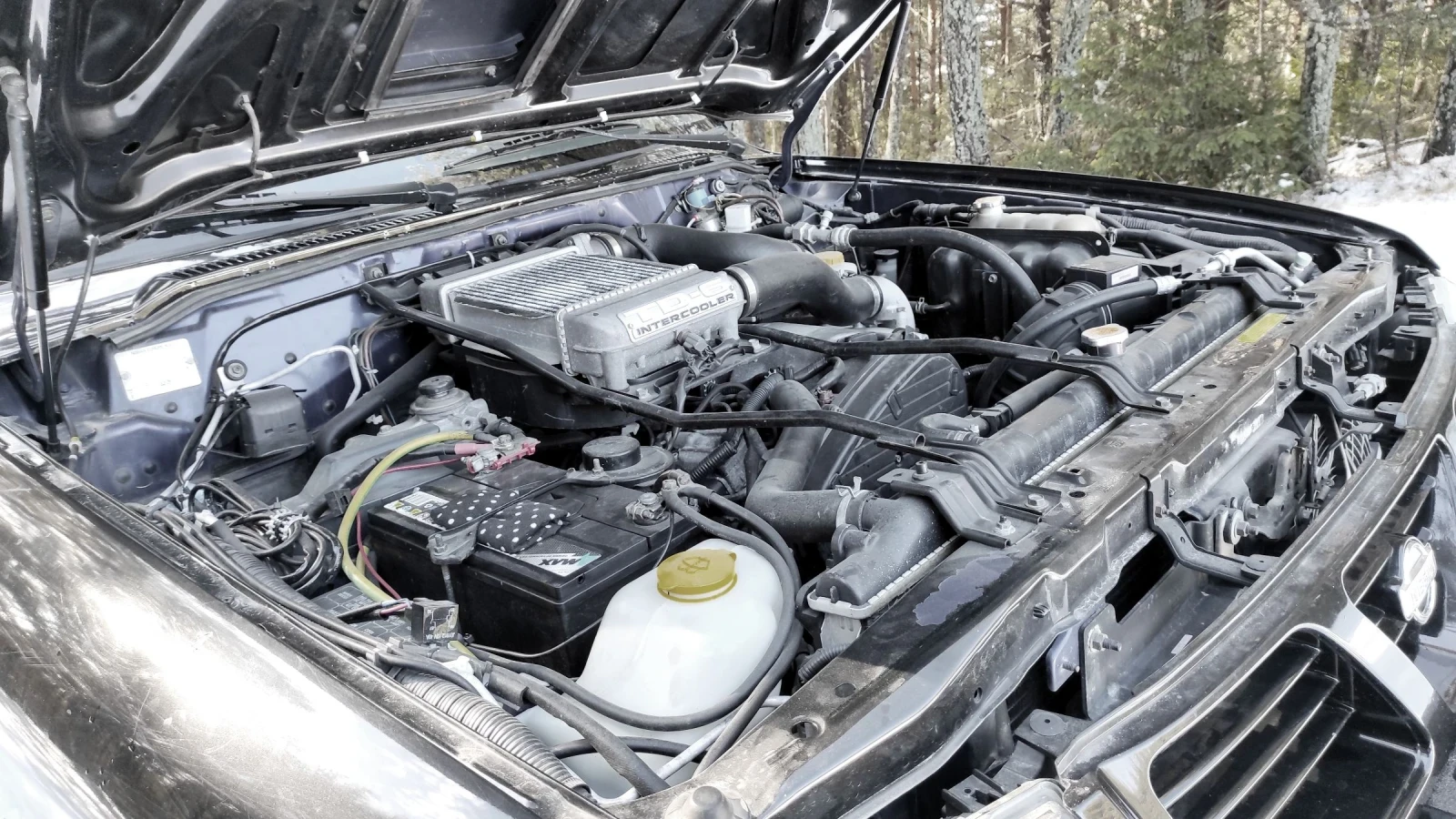 Nissan Patrol OFFROAD | Mobile.bg � ����������� 7