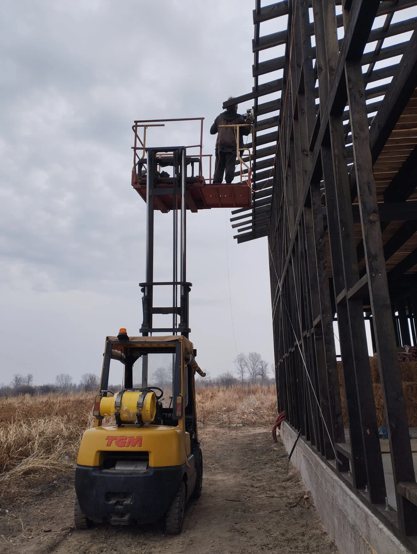 ������� TCM | Mobile.bg � ����������� 5