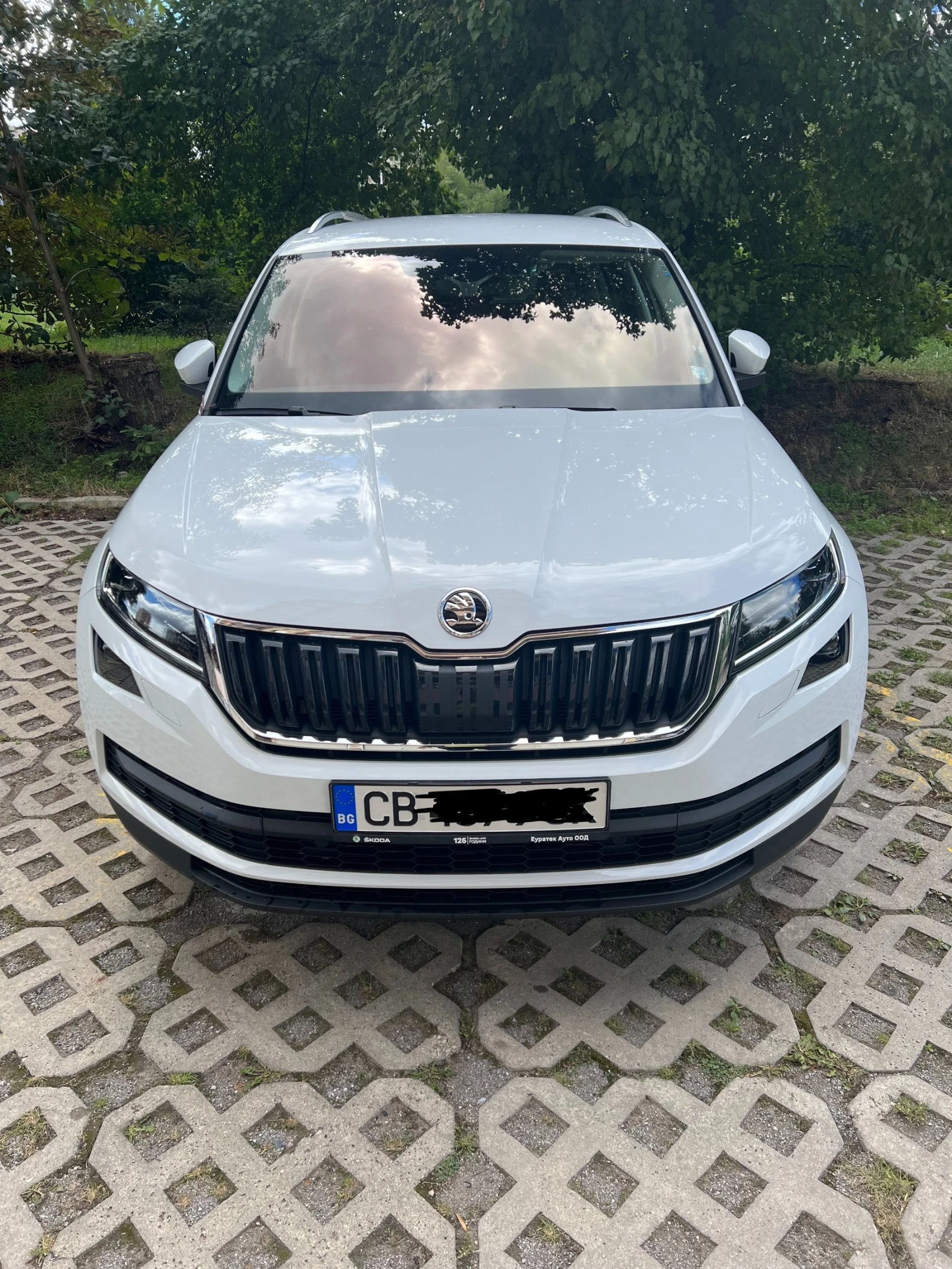 Skoda Kodiaq  - изображение 2
