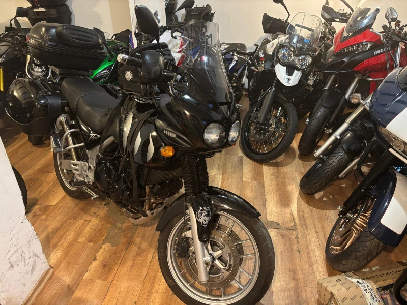 Triumph Tiger 955i Full