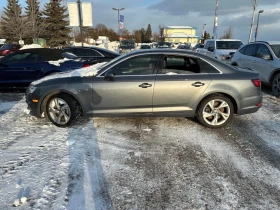 Audi A4 * Progressiv * AWD quattro * CARFAX  - 12600 € / 24643.46 лв. - 48761820 2
