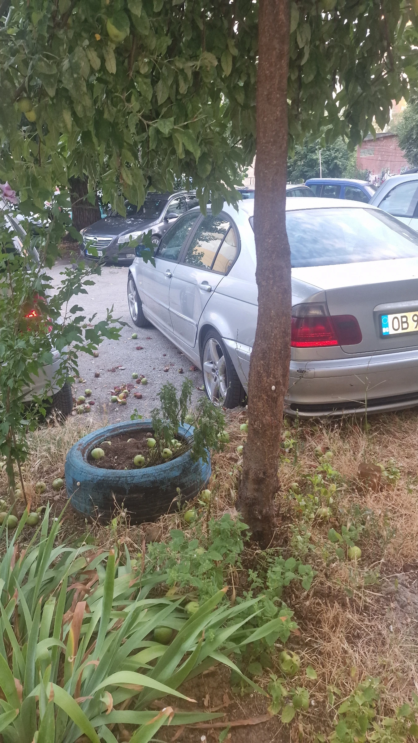 BMW 320  - изображение 3