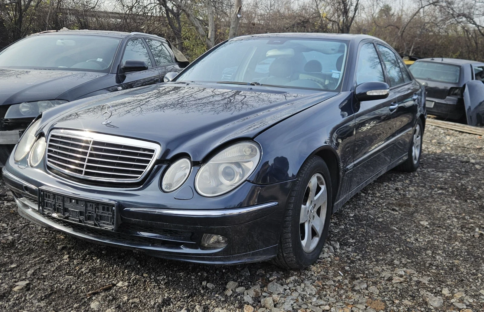 Mercedes-Benz E 270 270 CDI Avantgarde �� ����� | Mobile.bg � ����������� 1