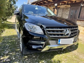Mercedes-Benz ML 250, снимка 1
