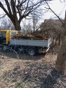 Isuzu Npr | Mobile.bg    5
