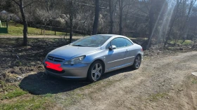 Peugeot 307 2.0, снимка 1