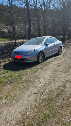 Peugeot 307 2.0, снимка 13