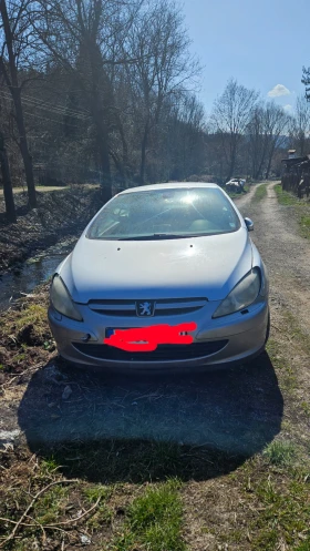 Peugeot 307 2.0, снимка 2