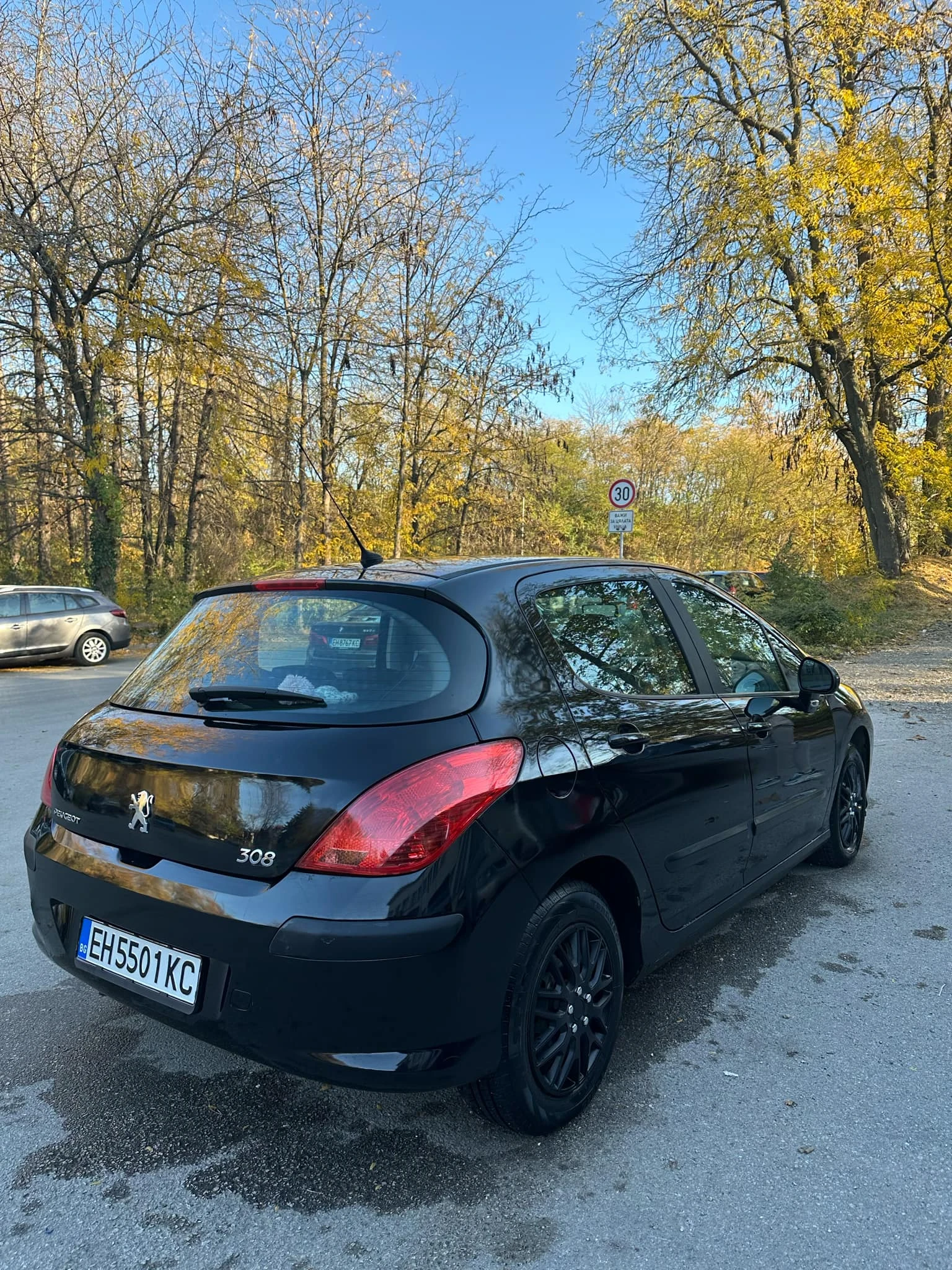 Peugeot 308 1.6 HDI - изображение 5