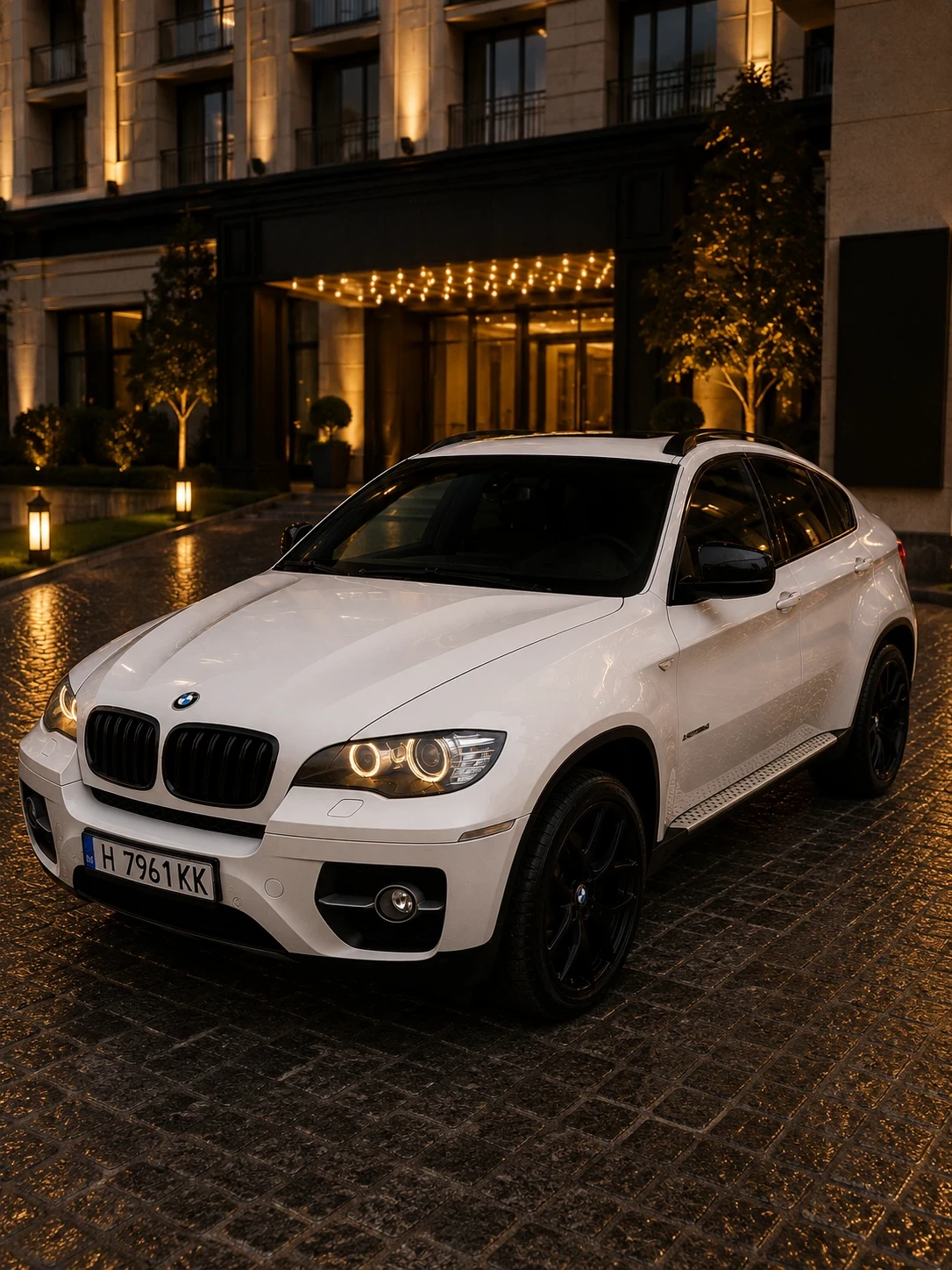 BMW X6