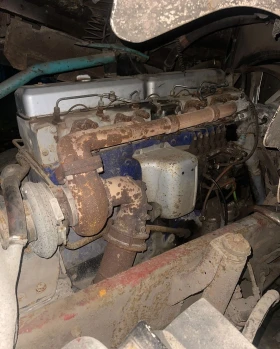 Scania 113 undefined | Auto.bg — изображение 5