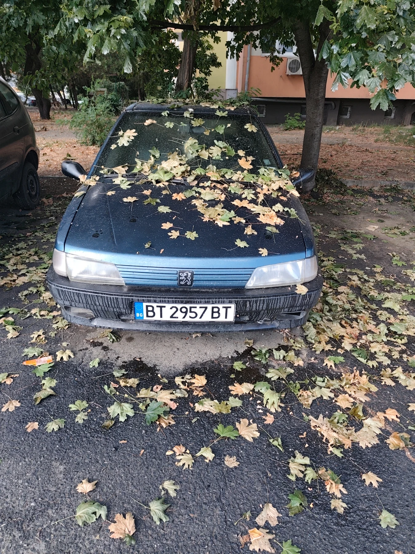 Peugeot 106