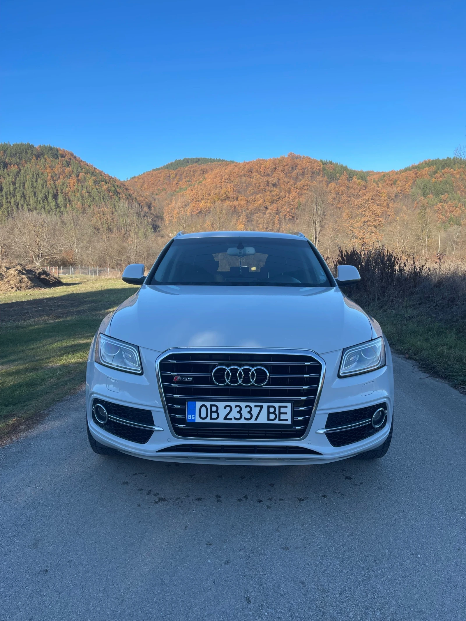 Audi SQ5 3.0 TDI /313/ 8 ZF/ - изображение 2