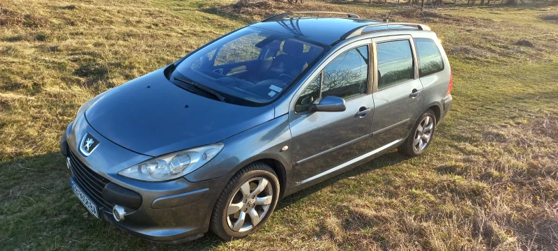 Peugeot 307, снимка 11 - Автомобили и джипове - 49039611