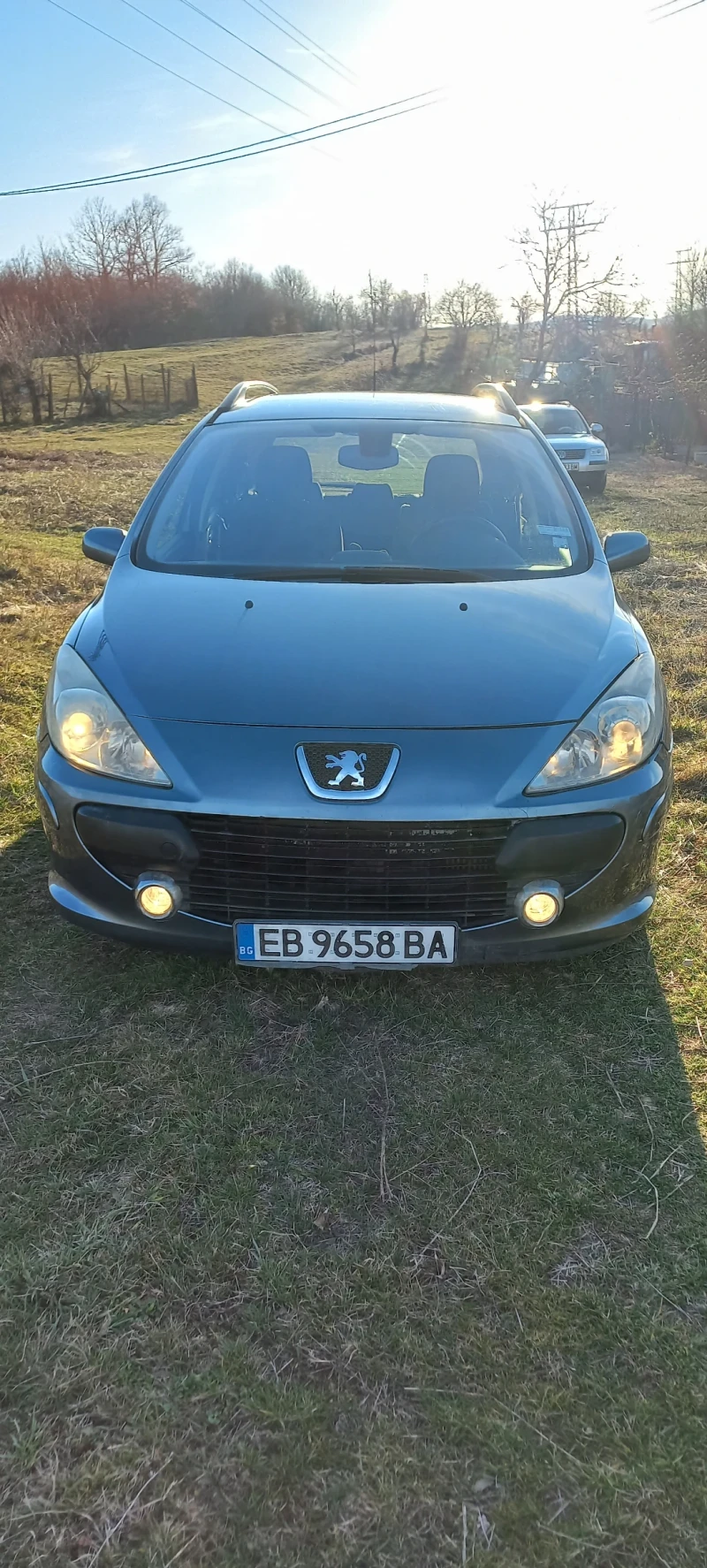 Peugeot 307, снимка 1 - Автомобили и джипове - 49039611