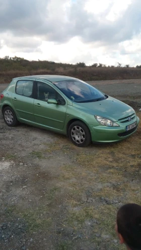 Peugeot 307, снимка 5