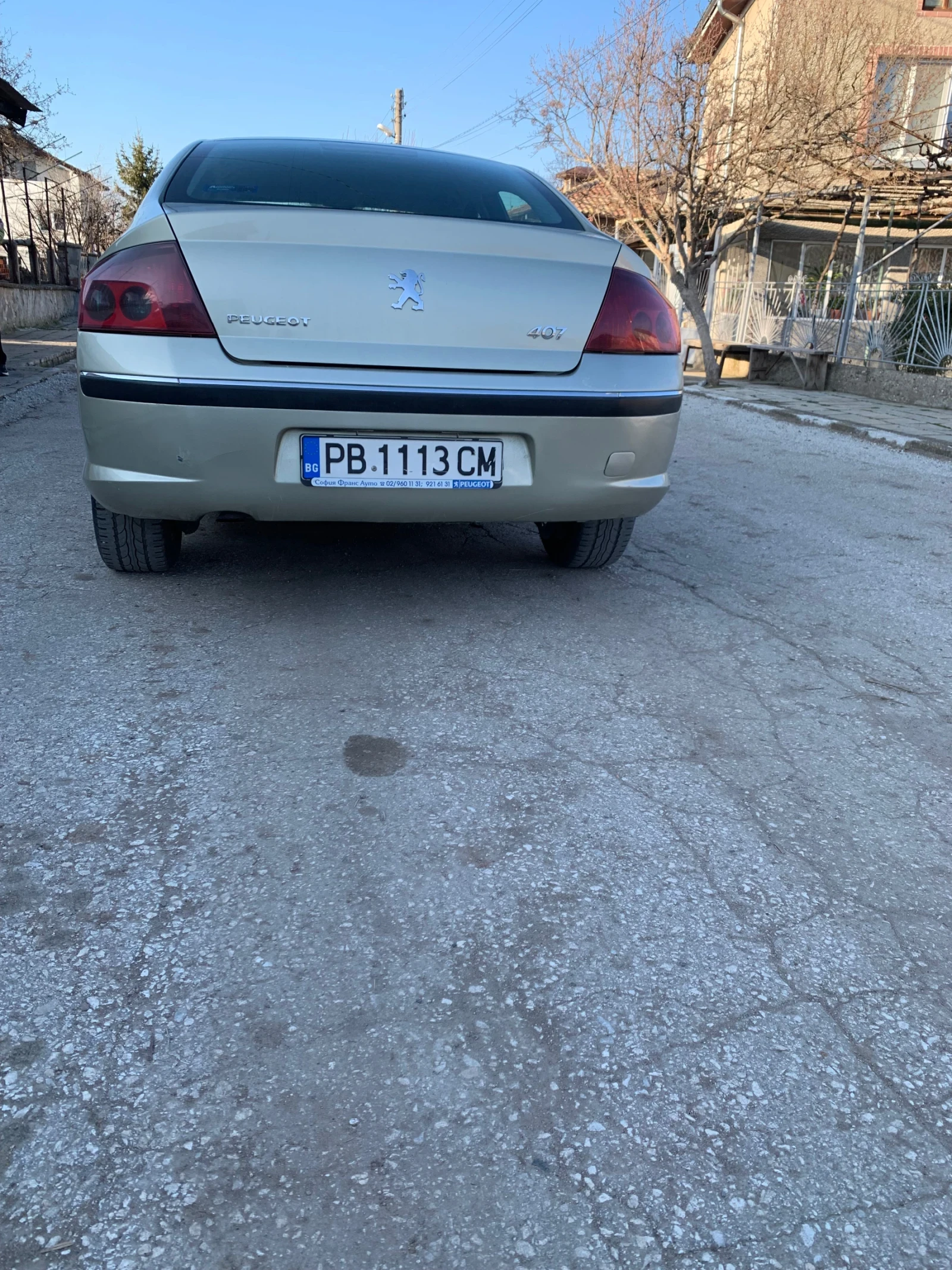 Peugeot 407  - изображение 4