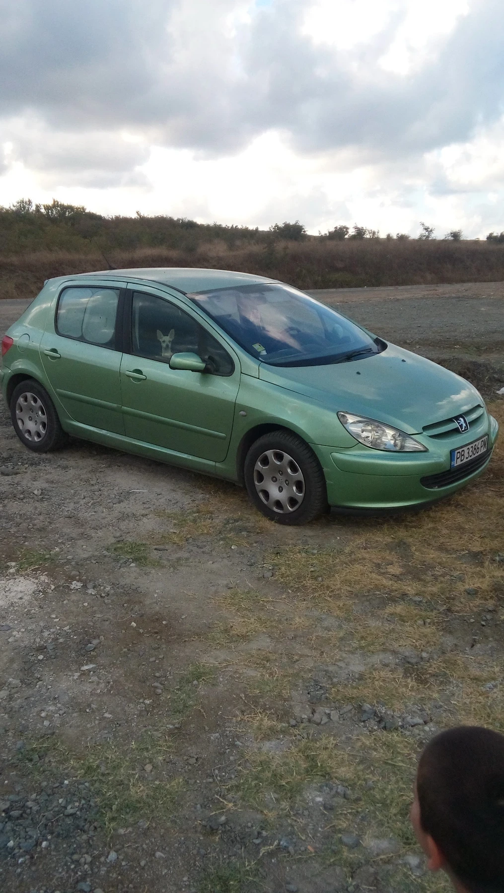 Peugeot 307, снимка 5 - Автомобили и джипове - 56274879