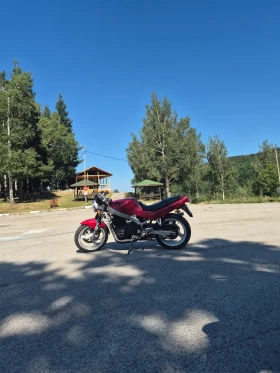 Suzuki Gs 500, снимка 1