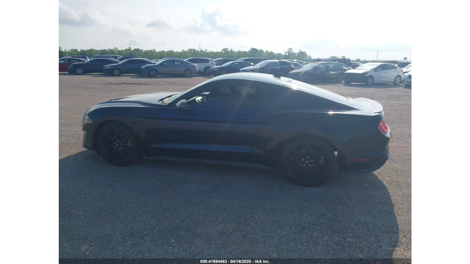 Ford Mustang ECOBOOST FASTBACK | Mobile.bg � ����������� 11