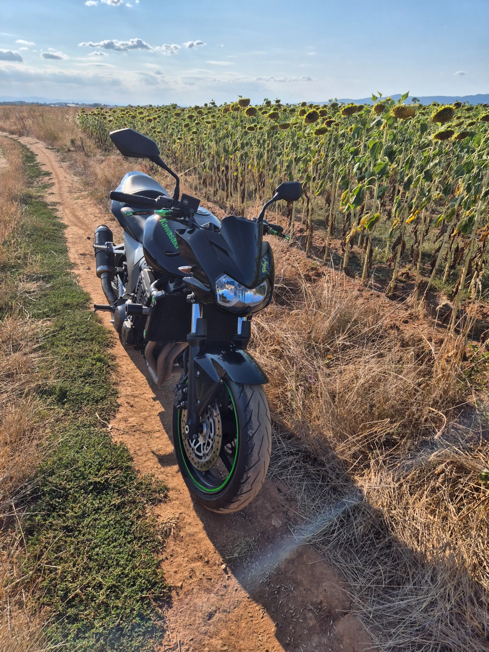 Kawasaki Z, снимка 3 - Мотоциклети и мототехника - 55667431
