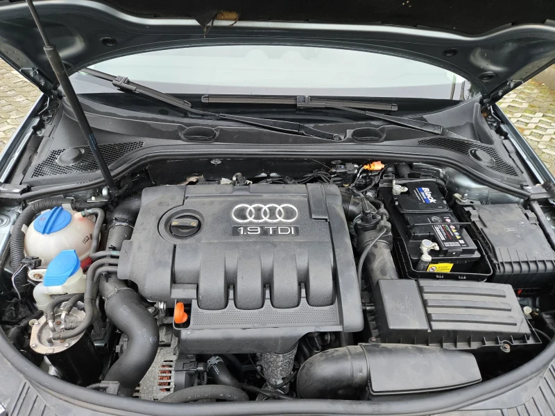 Audi A3 1.9TDI-105кс= FACELIFT= КЛИМАТРОНИК, снимка 17 - Автомобили и джипове - 53204657