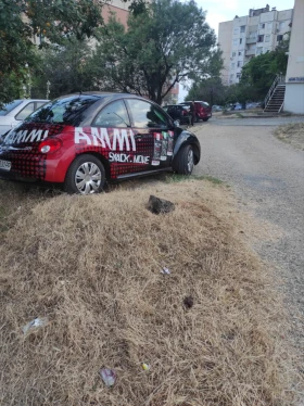 VW Beetle, снимка 3