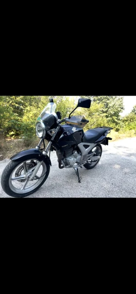     Honda Cbf 250cc