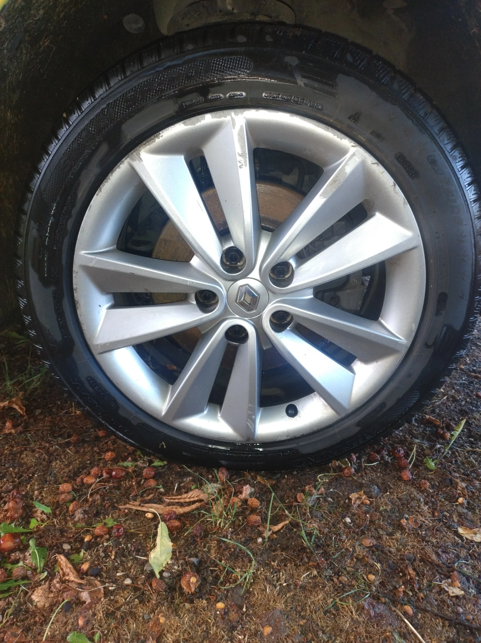 ���� � ������ 205/55R17 �� Renault Scenic | Mobile.bg � ����������� 1