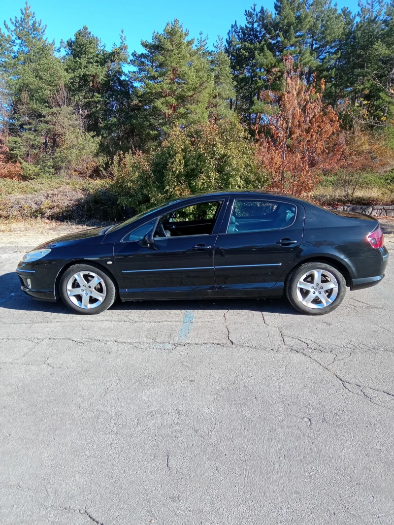 Peugeot 407 2.0, снимка 2 - Автомобили и джипове - 47929116