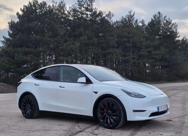 Tesla Model Y Performance EU Гаранция
