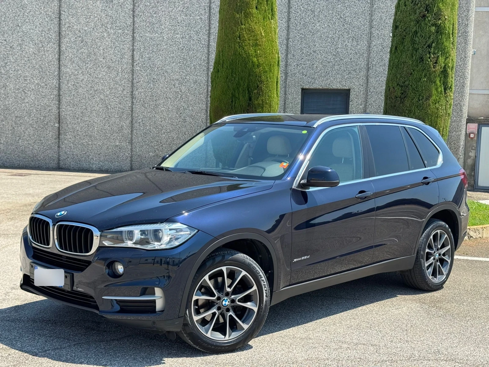 BMW X5 25d xDrive, снимка 4 - Автомобили и джипове - 55081399