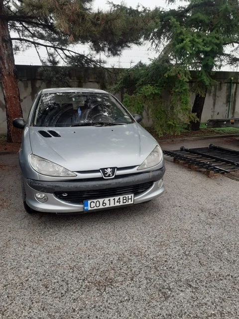 Peugeot 206 2.0 Бензин - изображение 6