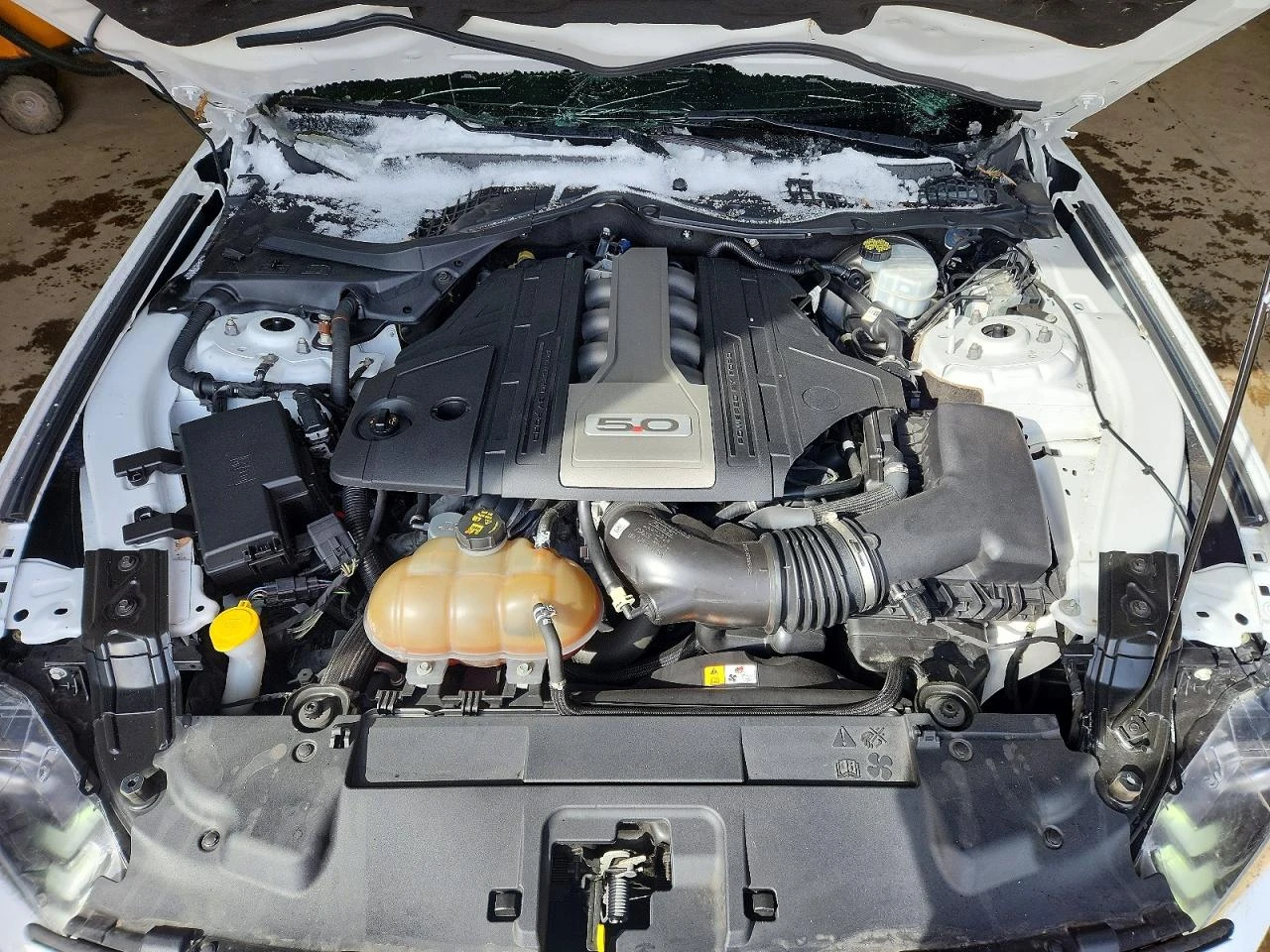 Ford Mustang 5.0GT* РЕАЛНИ КМ* РЪЧКА, снимка 11 - Автомобили и джипове - 54511044