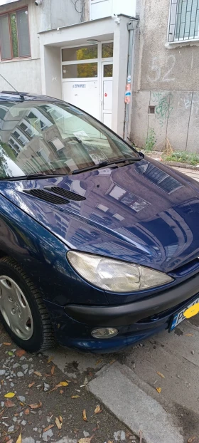  Peugeot 206