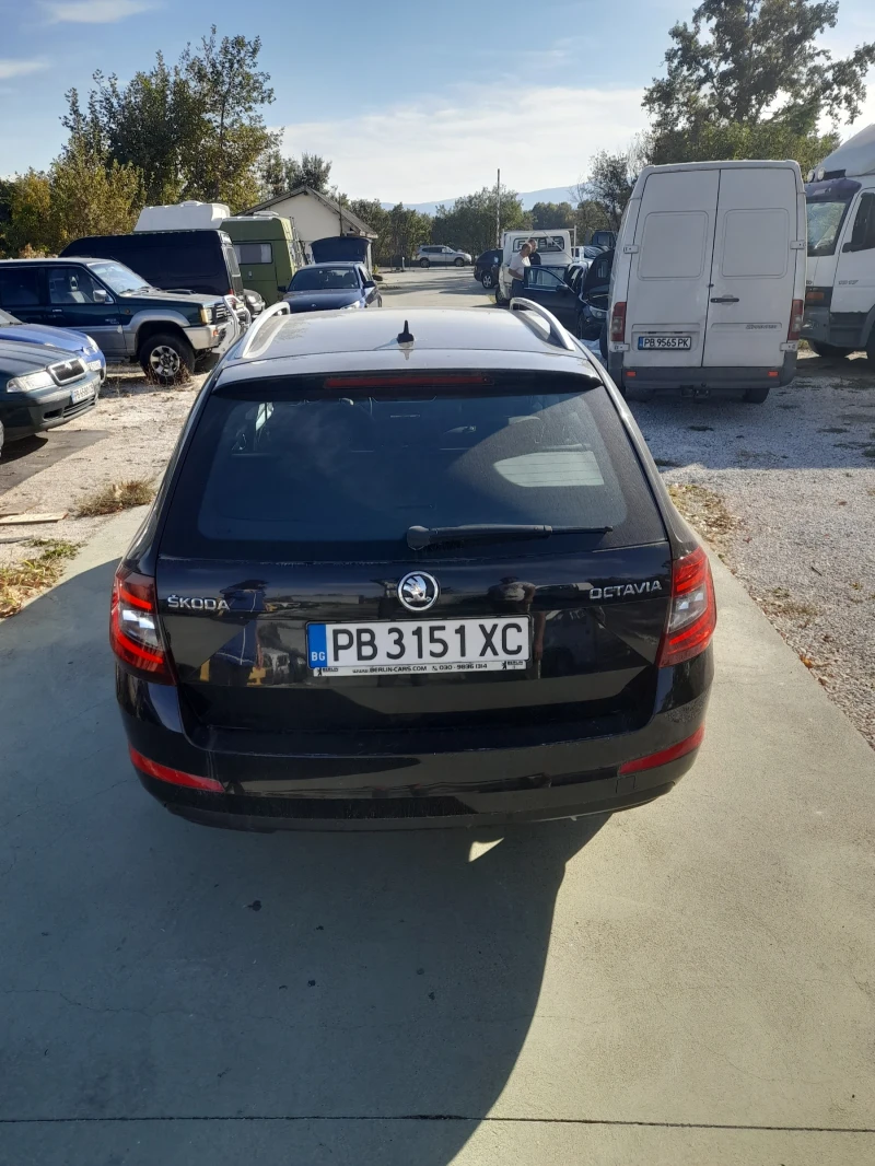 Skoda Octavia, снимка 4 - Автомобили и джипове - 47622930