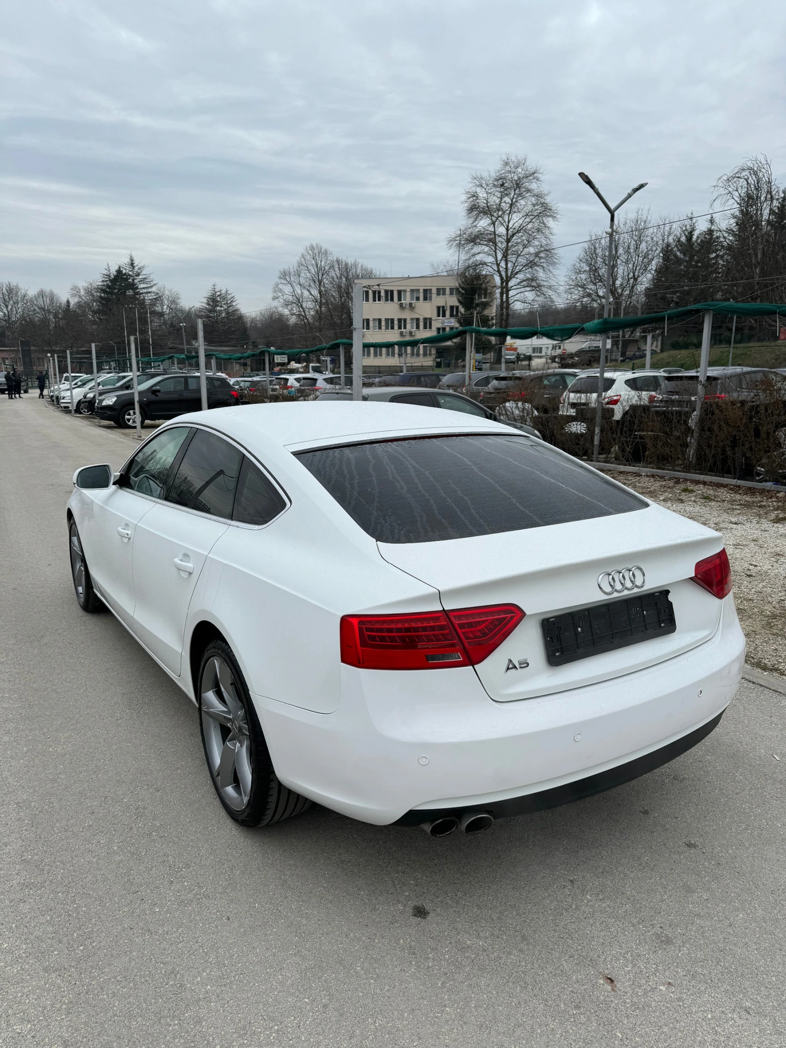 Audi A5 Sportback Face 2.0TDI-177k.c!135 хил.км!ТОП - изображение 8