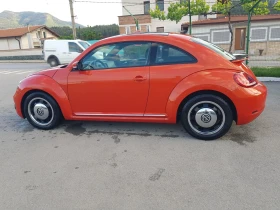     VW Beetle VW BEETLE 