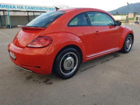     VW Beetle VW BEETLE 