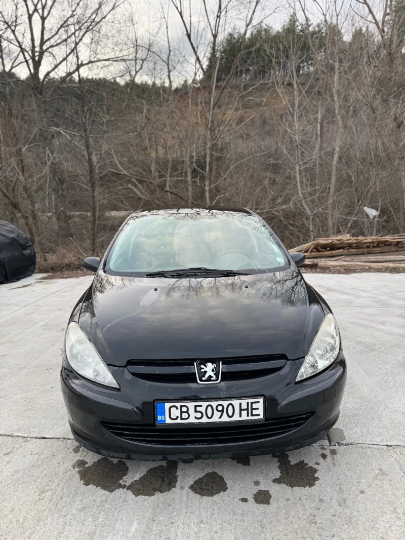 Peugeot 307 1.6 i 
