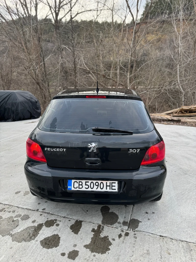Peugeot 307 1.6 i , снимка 6 - Автомобили и джипове - 53355953