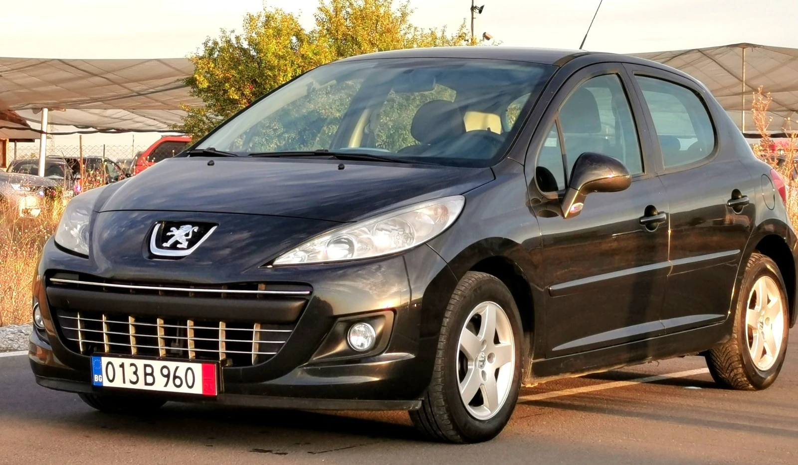 Peugeot 207 1.4HDI - изображение 3