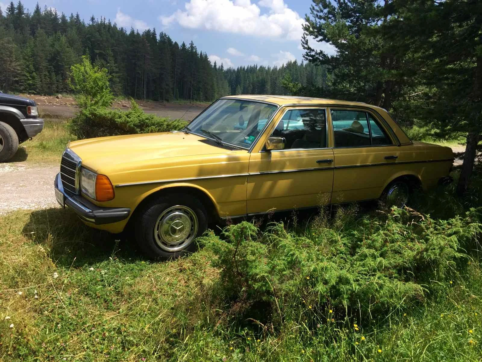 Mercedes-Benz 123  - изображение 4
