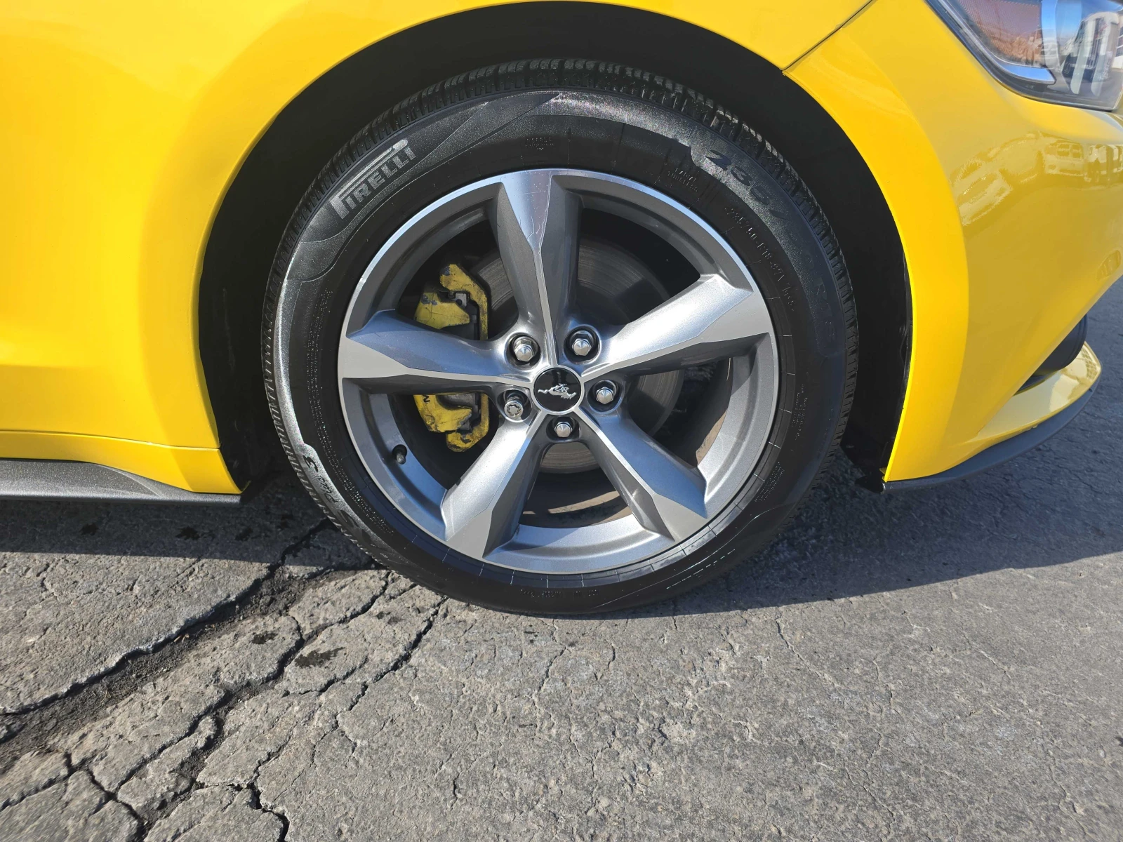 Ford Mustang V6  - изображение 8