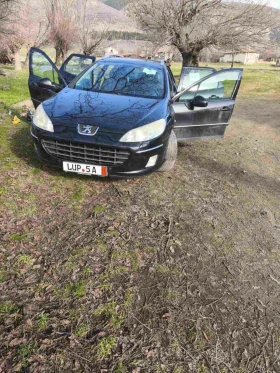 Peugeot 407 Hdi