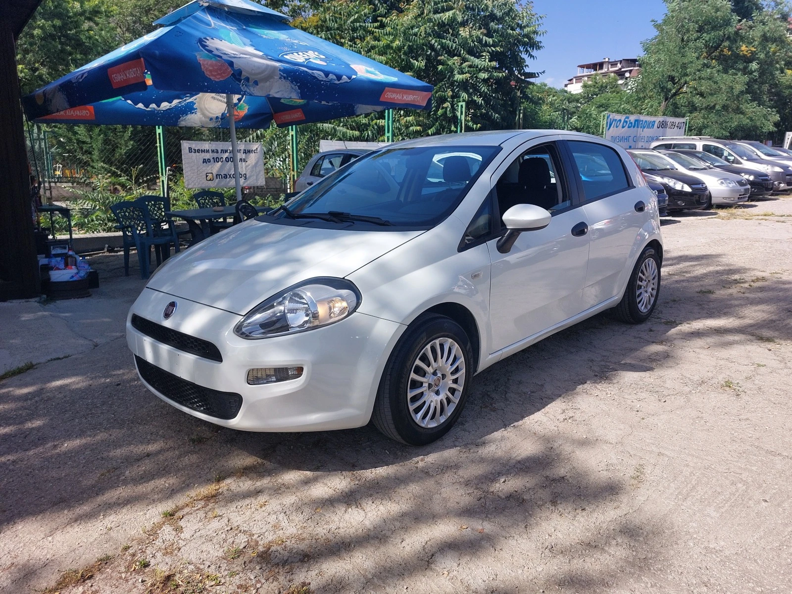 Fiat Punto 1.2i  EURO6/B* 36м. х 319лв.*  - изображение 2