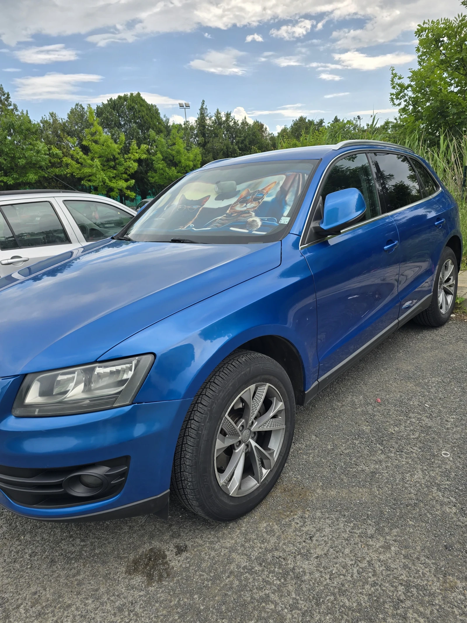 Audi Q5, снимка 4 - Автомобили и джипове - 54738855