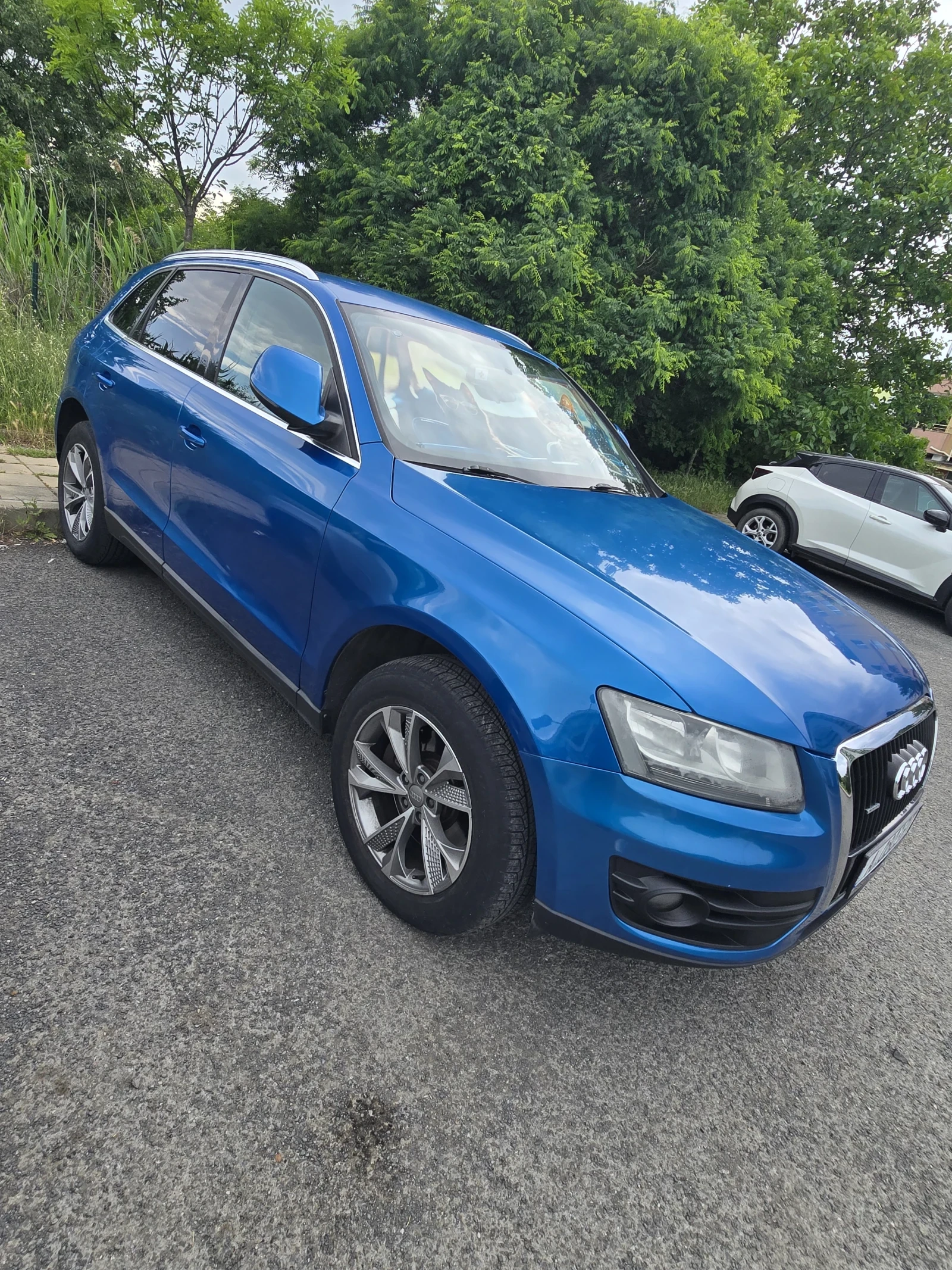 Audi Q5, снимка 3 - Автомобили и джипове - 54738855