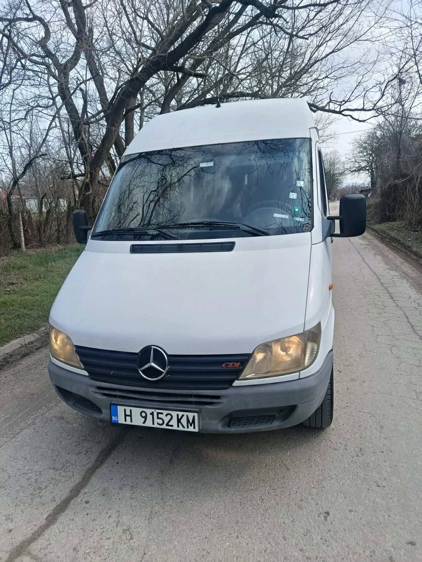 Mercedes-Benz Sprinter 313