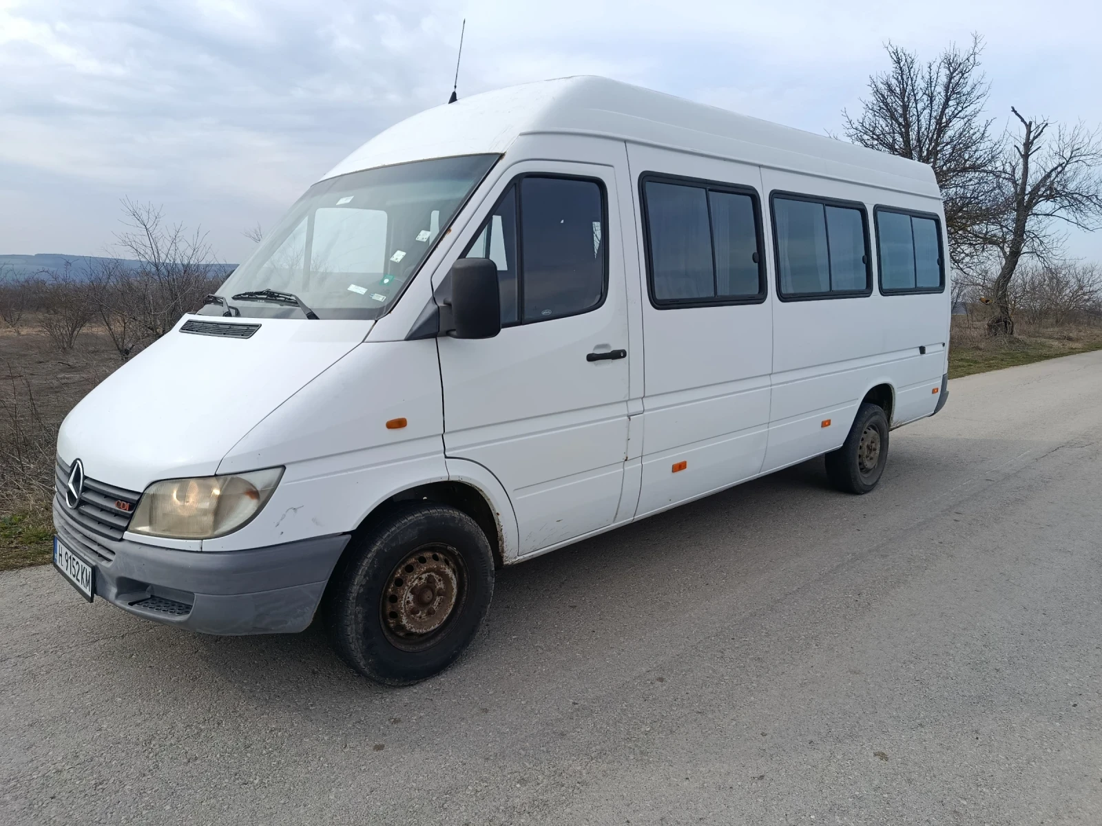 Mercedes-Benz Sprinter 313